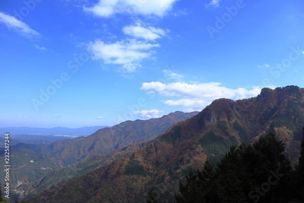 Fototapeta 日本　秩父　秋の紅葉