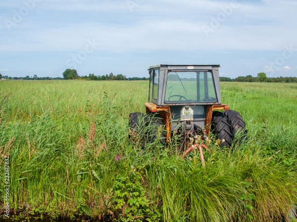 Obraz Weerribben Wieden