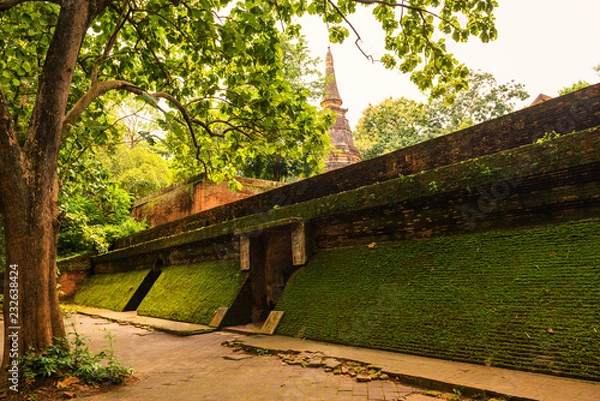 Obraz Green moss on the brick wall at Wat Umong Suan Puthatham History Temple in Chiang Mai, Thailand