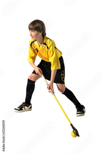 Obraz floorball player