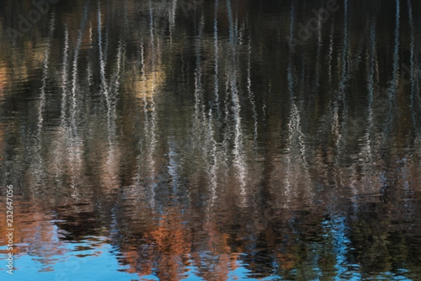 Fototapeta 湖面に映る秋の森