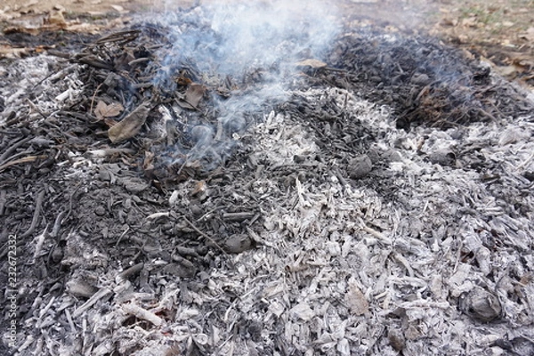 Fototapeta Burning leafs, flames, ash backgrounds and textures