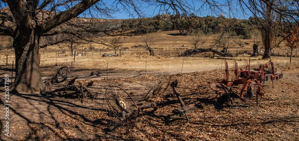 Obraz Farm Clarence Africa