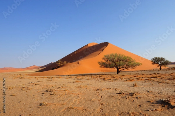 Fototapeta Red dune in Sosussvlei
