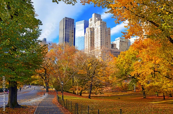 Fototapeta Jesienne liście w Central Parku w Nowym Jorku