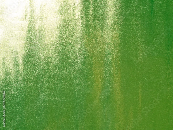 Obraz green grunge background