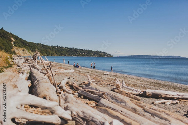 Fototapeta Discovery park