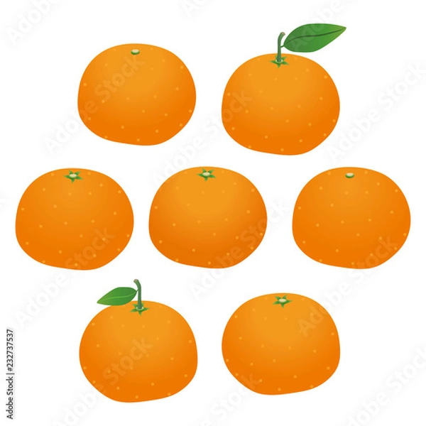 Fototapeta みかん