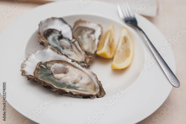 Obraz oysters on a white plate