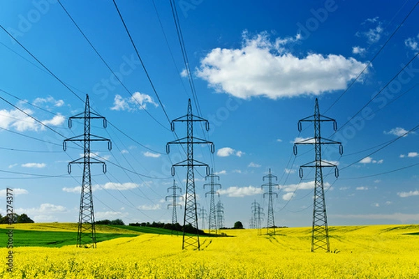Obraz Stromleitung im Rapsfeld 2