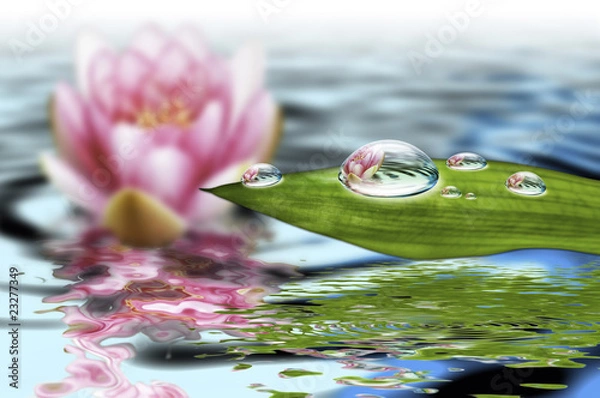 Obraz Ochrona przyrody