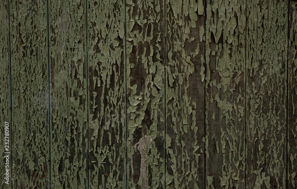 Obraz tree background