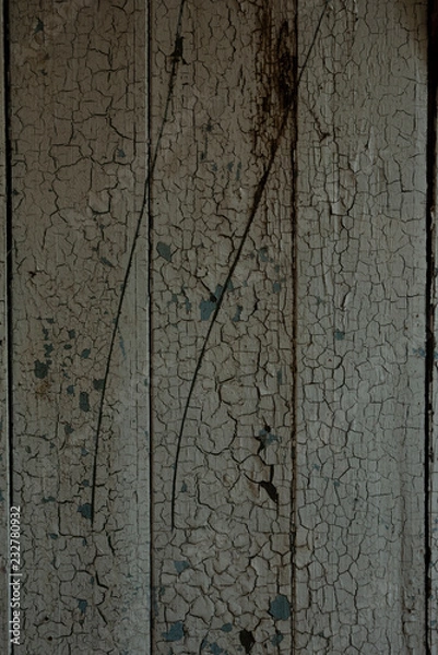 Obraz tree background