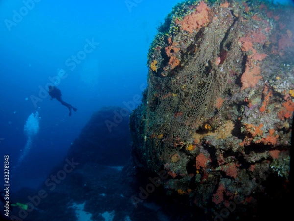 Obraz Scuba Diving Malta - Lantern point, Comino