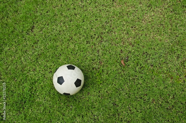 Fototapeta Soccer ball from top view