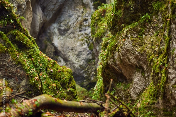 Fototapeta Canyon landscape in the fall