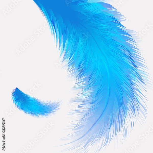 Fototapeta Beautiful colorful small and big realistic bird feathers isolated on white background. Vector illustration.
