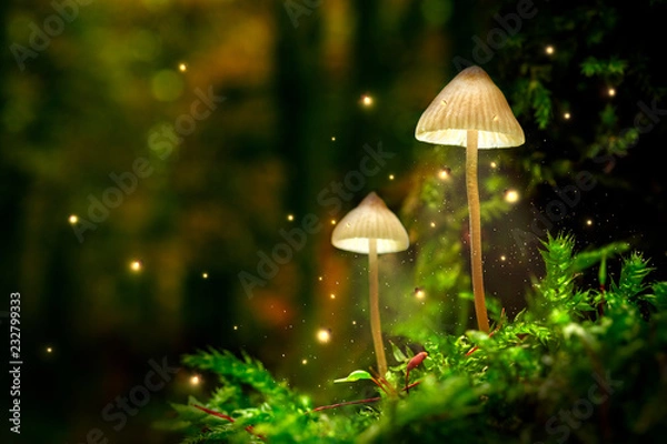 Obraz Świecące lampy grzybowe z świetlikami w magicznym lesie
