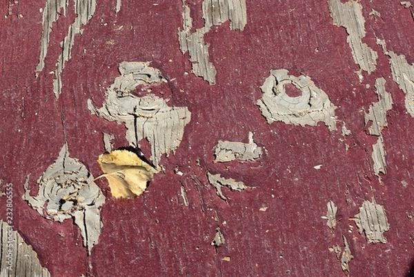 Obraz Peeling Paint Leaf