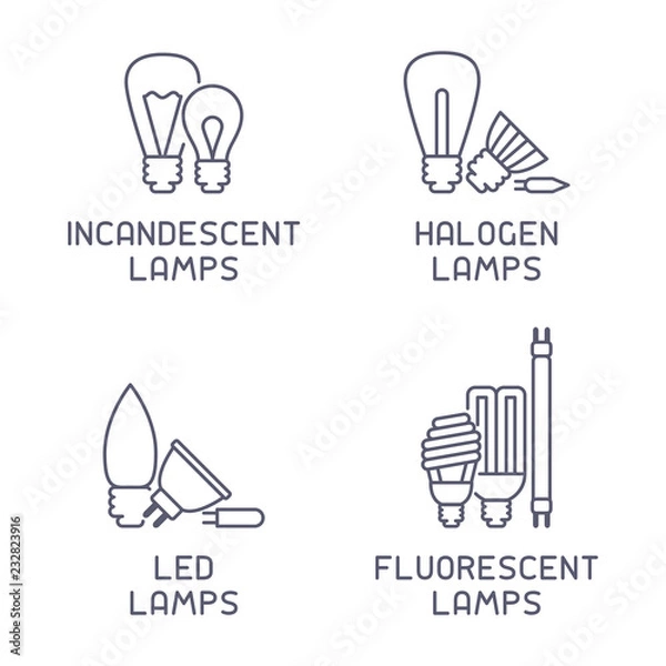 Fototapeta Different types of lamps with names. Line style vector illustration
