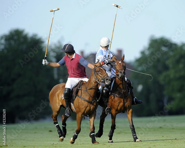 Obraz PoloCup2010-01