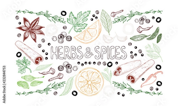 Obraz Set of hand drawn spices, herbs, vegetables, fruits and lettering on white background. Horizontal color vector illustration.