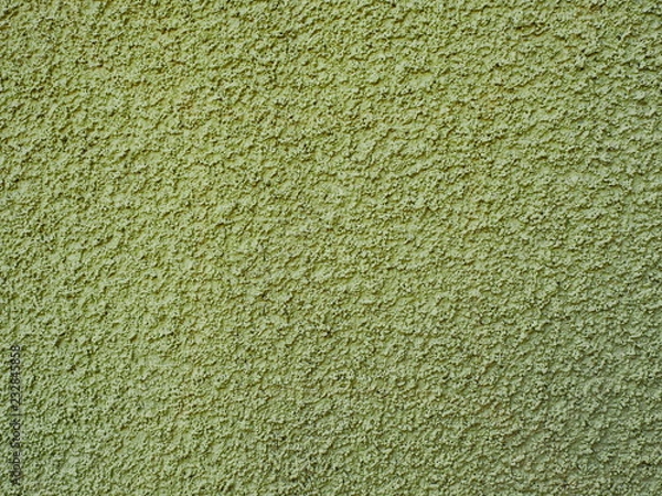 Fototapeta granular light green wall