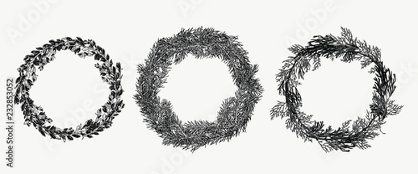 Fototapeta Hand drawn collection of evergreen wreath in vintage style. Botanical illustration for holiday decor.