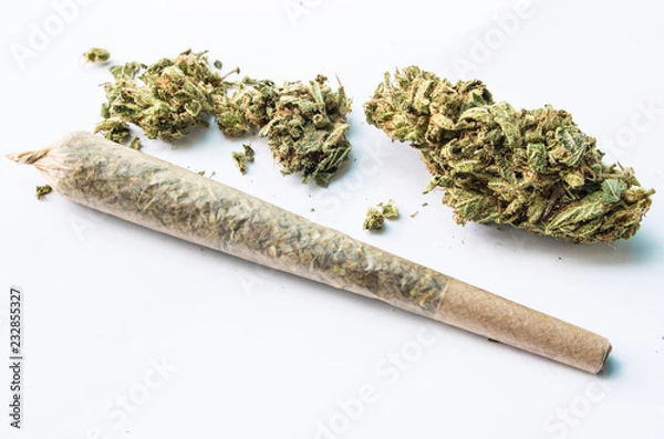 Obraz Marijuana flower and rolled joint on white background 