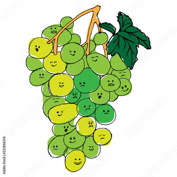 Fototapeta Grapes with faces emotions hand drawn