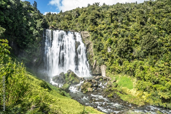 Obraz Waterfall in green forest