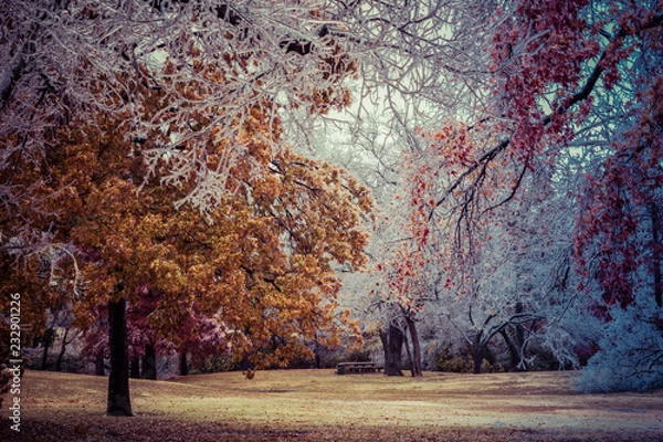 Fototapeta fall scenic