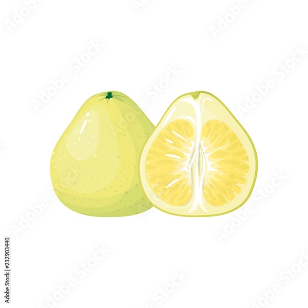 Fototapeta Cartoon fresh pomelo isolated on white background