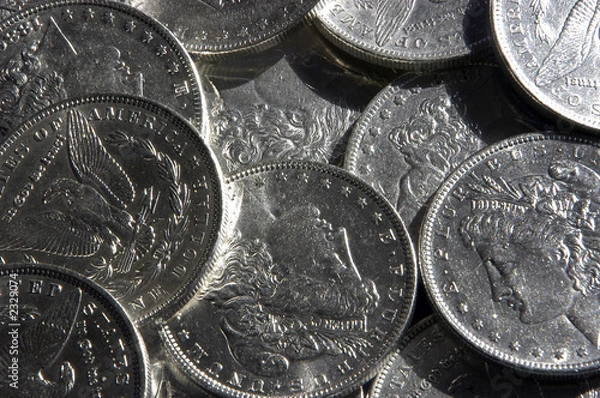 Obraz silver dollars