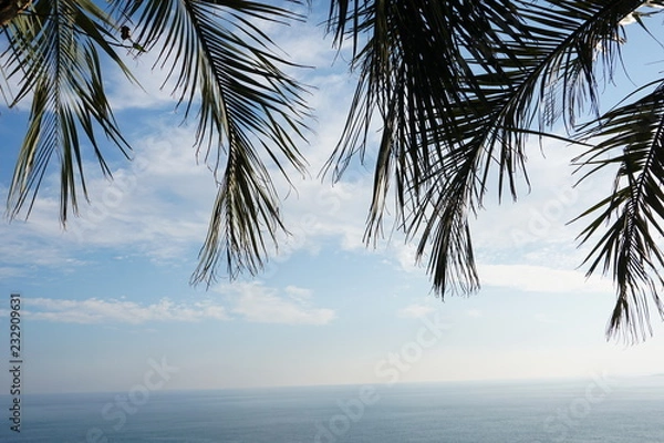 Obraz ヤシの葉　南国　空