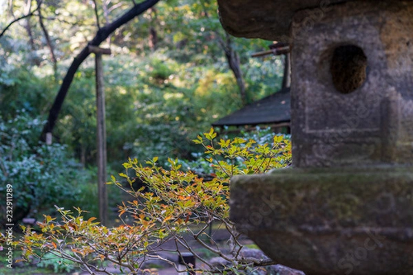 Fototapeta 灯篭と紅葉