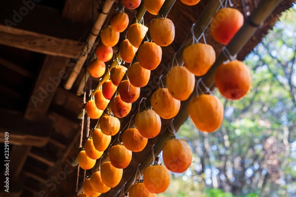 Obraz 軒下の干し柿