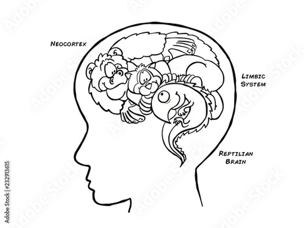 Obraz Triune Brain Black and White