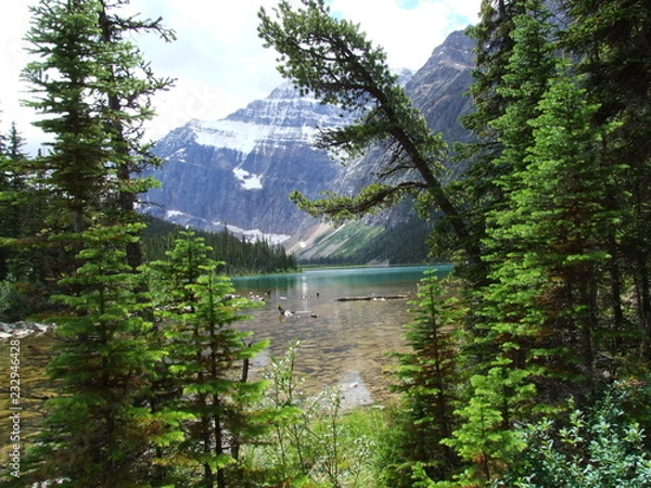 Obraz Rocky Mountain