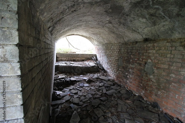 Obraz シェルターの中