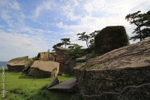 Obraz 崩壊した歴史的建物