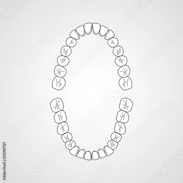 Fototapeta Tooth isolated flat vector image