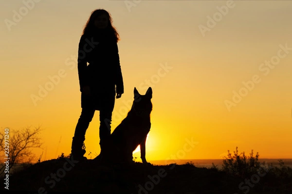 Fototapeta silhouette woman walking with a dog in the field at sunset, a girl in an autumn jacket playing with pet throwing wooden stick on the nature