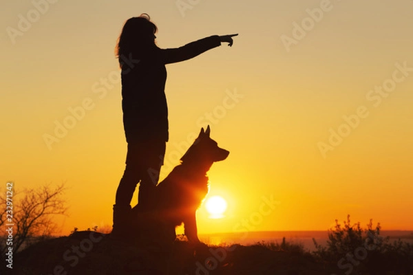 Obraz silhouette woman walking with a dog in the field at sunset, a girl showing her pet target ahead on the nature