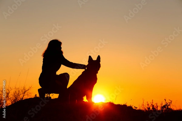 Fototapeta silhouette of woman embracing German Shepherd dog obediently sitting nearby, girl walking on nature with pet at sunset in a field,