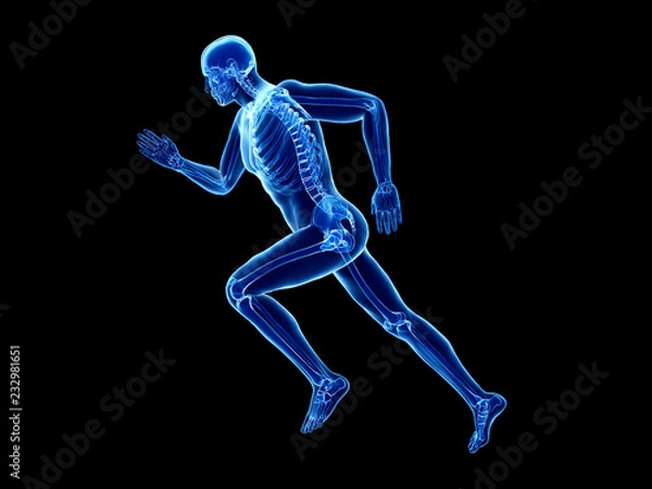 Fototapeta 3d rendered illustration of a joggers skeleton