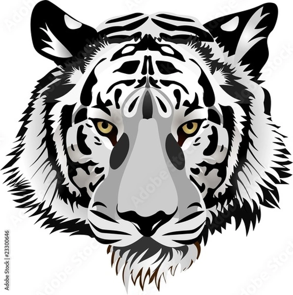 Fototapeta Tiger head.Vector