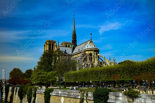 Fototapeta The Cathedral of Notre Dame de Paris as seen from the Seine River