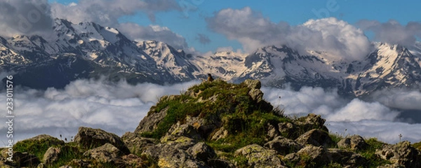 Obraz bird and mountains