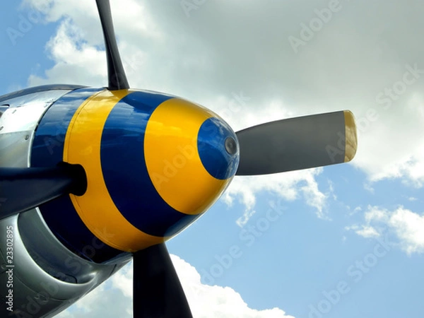 Obraz Colorful spinner nose cone